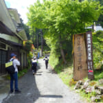 【画像】新緑まばゆい箱根峠越え！　石畳を敷かせた家康は偉大だった「旧東海道28km」を歩く 〜 画像1