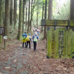 【画像】新緑まばゆい箱根峠越え！　石畳を敷かせた家康は偉大だった「旧東海道28km」を歩く 〜 画像1