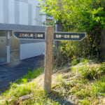 【画像】新緑まばゆい箱根峠越え！　石畳を敷かせた家康は偉大だった「旧東海道28km」を歩く 〜 画像1