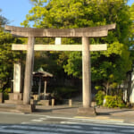 【画像】新緑まばゆい箱根峠越え！　石畳を敷かせた家康は偉大だった「旧東海道28km」を歩く 〜 画像1