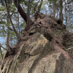【画像】昭和の子どもたちが熱狂！　「仮面ライダー」のロケ地「六甲山」のマイナールート「白水尾根」を歩く 〜 画像1