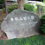 【画像】煌びやかなイルミ鑑賞後でも下山できる！　本牧の超低山「見晴らし山」「夕景丹沢」「イルミのベイブリッジ」を港町ヨコハマで満喫 〜 画像1
