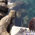 【画像】漁港に数万匹の魚群が発生!?　魚だらけの海面に餌を投げ込むも意外な結果やいかに！ 〜 画像1