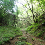 【画像】「ニセ八ツ」の二つ名を持つ茅ヶ岳はアンパンがよく似合う！　日本百名山選定の深田久弥氏終焉の地を歩く 〜 画像1