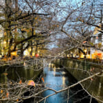 【画像】水質のきれいさや大きさは関係なし！　意外と知らない「一級河川」と「二級河川」の違いとは 〜 画像1