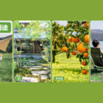 【画像】快適な外遊びの必須アイテム！　リアル過ぎる「虫除けトンボ君」が驚異の除虫力で虫を撃退 〜 画像1