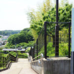 【画像】横浜の原風景を残す北の森にあるご当地百名山！　広大な園内散策路はタフなアップダウンの連続だった 〜 画像1