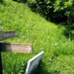 【画像】横浜の原風景を残す北の森にあるご当地百名山！　広大な園内散策路はタフなアップダウンの連続だった 〜 画像1