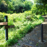 【画像】横浜の原風景を残す北の森にあるご当地百名山！　広大な園内散策路はタフなアップダウンの連続だった 〜 画像1