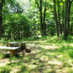 【画像】横浜の原風景を残す北の森にあるご当地百名山！　広大な園内散策路はタフなアップダウンの連続だった 〜 画像1