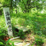 【画像】横浜の原風景を残す北の森にあるご当地百名山！　広大な園内散策路はタフなアップダウンの連続だった 〜 画像1