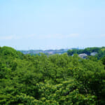 【画像】横浜の原風景を残す北の森にあるご当地百名山！　広大な園内散策路はタフなアップダウンの連続だった 〜 画像1