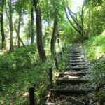 【画像】横浜の原風景を残す北の森にあるご当地百名山！　広大な園内散策路はタフなアップダウンの連続だった 〜 画像1