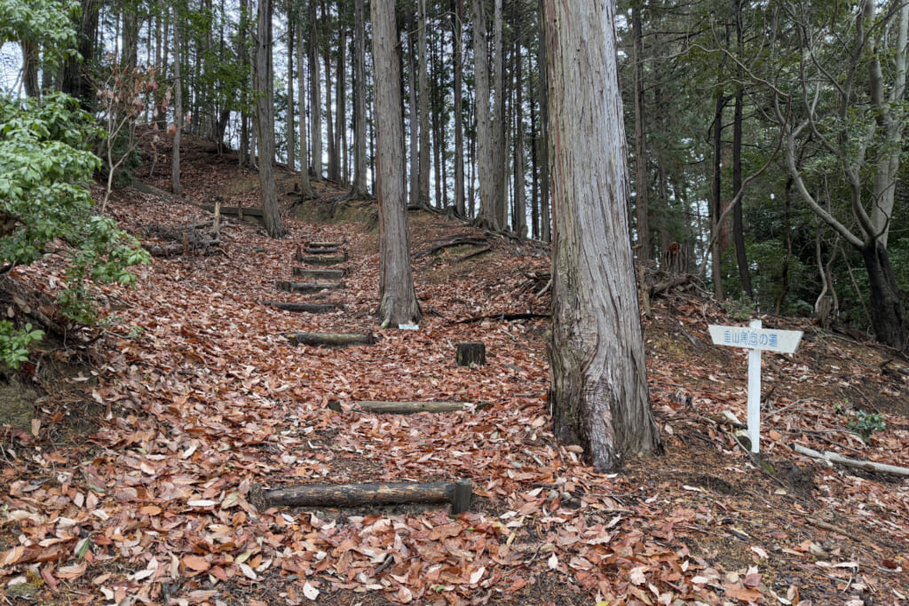 登山口