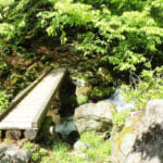 【画像】奥多摩三山の名峰「大岳山」！　涼やかな滝と沢沿いルートで混雑回避の夏山ハイクを満喫 〜 画像1