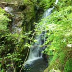【画像】奥多摩三山の名峰「大岳山」！　涼やかな滝と沢沿いルートで混雑回避の夏山ハイクを満喫 〜 画像1