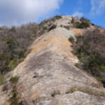 一枚スラブ