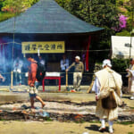 【画像】境内の裏山に20種類ものツツジが自生！　都内随一の名所「塩船観音つつじ園」でヤマツツジを愛でる 〜 画像1
