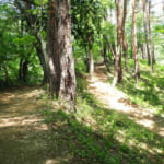【画像】境内の裏山に20種類ものツツジが自生！　都内随一の名所「塩船観音つつじ園」でヤマツツジを愛でる 〜 画像1