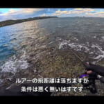 【画像】対馬リベンジ釣行の結果やいかに？　現地調達のエサでゲットした高級魚を10日間熟成させた「しゃぶしゃぶ」が絶品過ぎた 〜 画像1