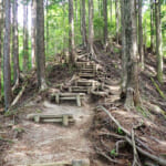 【画像】純白の「シロヤシオ」を愛でに西丹沢へ！　ハイカーも少ない畦ヶ丸の白と紫の共演が絶景かな 〜 画像1