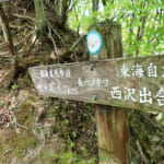 【画像】純白の「シロヤシオ」を愛でに西丹沢へ！　ハイカーも少ない畦ヶ丸の白と紫の共演が絶景かな 〜 画像1