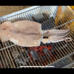 【画像】軽トラの「キャンパーシェル」を一新！　DIY女子の内装張り替え作業に視聴者から“和テイストが素敵”と称賛のコメントが溢れる 〜 画像1