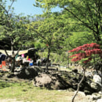 【画像】楽しみはBBQや焚き火だけじゃない！　スポーツで汗も流せる神奈川・千葉のキャンプ場3選【南関東エリア】 〜 画像1