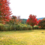 【画像】「里山」「マチュピチュ」「隠れ家」はいかが？　ベテランキャンパーにおすすめの九州地方のキャンプ場3選【九州エリア】 〜 画像1