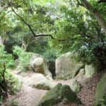 【画像】湘南の妙義山はサクッと行けてサクッと登れる！　磨崖仏を巡るハイクはまるで「インディジョーンズ魔宮の伝説」だった 〜 画像1