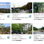 【画像】初めてのキャンプで失敗しない！　各団体が定める「優良キャンプ場」の認定基準とは 〜 画像1