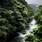 【画像】「ひとり登山」や「水遊び」に潜む落とし穴　夏のレジャー、油断は禁物 〜 画像1