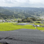 【画像】一面の茶畑に癒されるのどかな山道の先にあるのは？　役小角が見守るスリリングな岩場で修行 〜 画像1