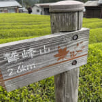 茶畑の中の道標