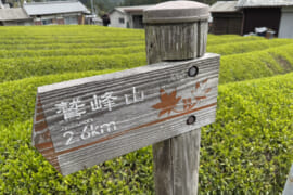 茶畑の中の道標