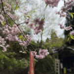 【画像】一面の茶畑に癒されるのどかな山道の先にあるのは？　役小角が見守るスリリングな岩場で修行 〜 画像1