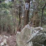 【画像】一面の茶畑に癒されるのどかな山道の先にあるのは？　役小角が見守るスリリングな岩場で修行 〜 画像1