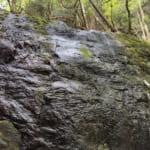 【画像】一面の茶畑に癒されるのどかな山道の先にあるのは？　役小角が見守るスリリングな岩場で修行 〜 画像1