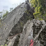 【画像】一面の茶畑に癒されるのどかな山道の先にあるのは？　役小角が見守るスリリングな岩場で修行 〜 画像1