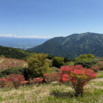金剛山