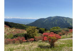 金剛山