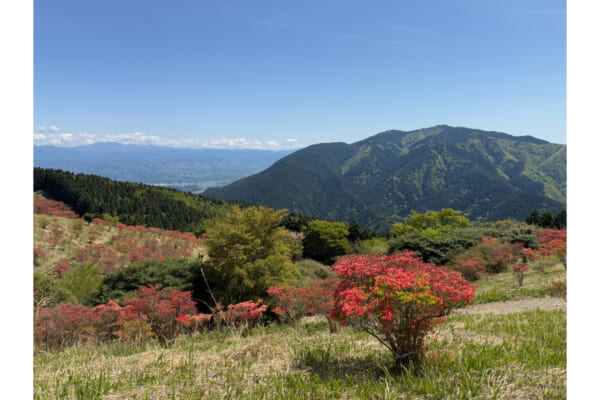 金剛山