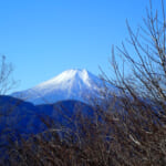 【画像】河口湖町や富士吉田からの映え「富士山」はインバウンドでガチャ！　低山ハイクも楽しめる大月の「秀麗富嶽十二景」がおすすめ 〜 画像1