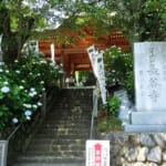 【画像】開山1300年の霊地？　厚木の白山はベイスターズの聖地！　優勝決意の年に祈願成就を成し遂げたパワースポット低山を歩く 〜 画像1