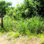 【画像】開山1300年の霊地？　厚木の白山はベイスターズの聖地！　優勝決意の年に祈願成就を成し遂げたパワースポット低山を歩く 〜 画像1