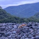 【画像】一見きれいに見える沢の水を飲んでも大丈夫？　山で安全に得られる水の補給と気をつけたい危険性とは 〜 画像1