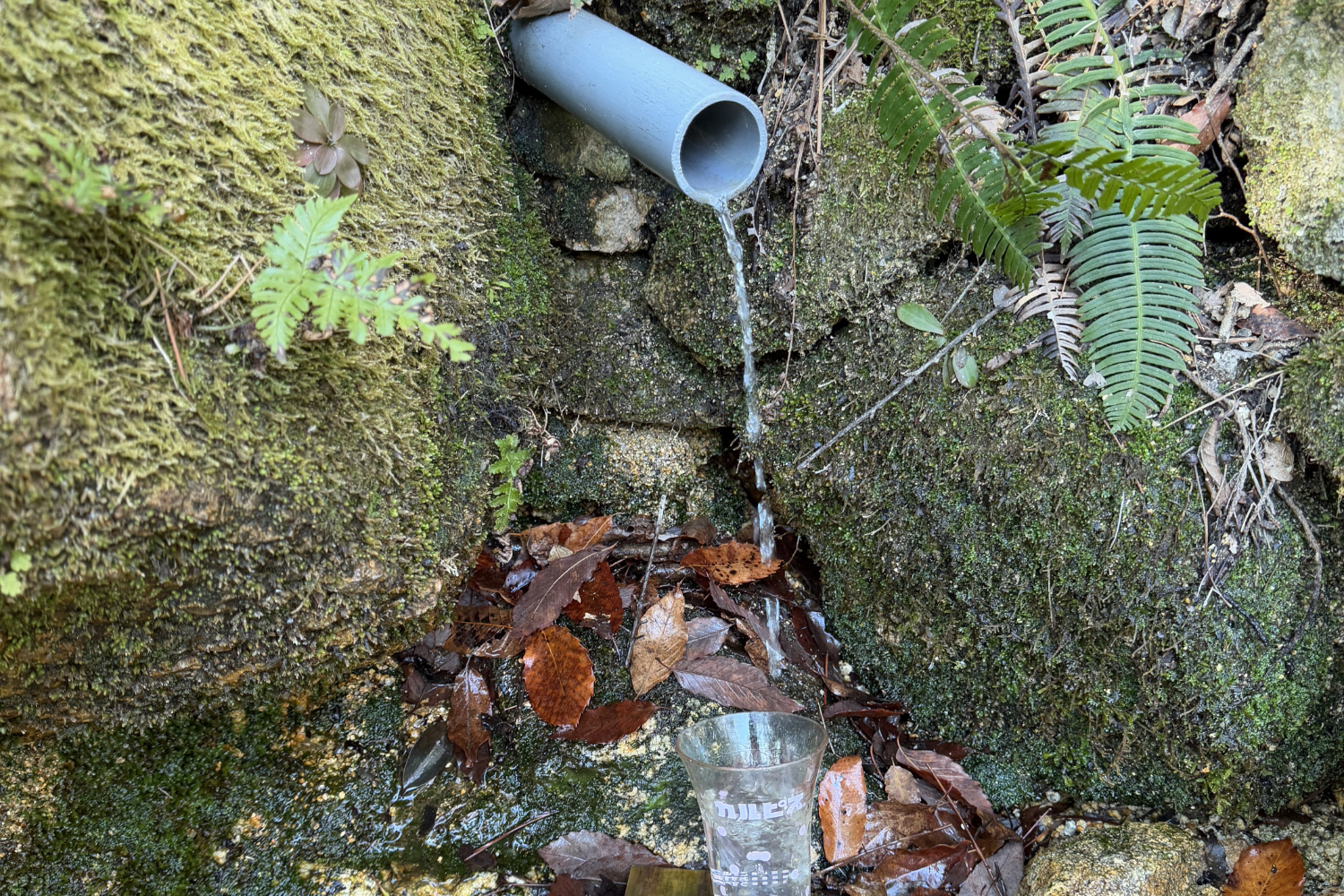 水