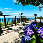 【画像】紫陽花と湘南の絶景を堪能！　江の島中津宮の水琴窟で美しい音色の涼に包まれる 〜 画像1