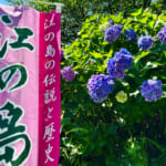 【画像】紫陽花と湘南の絶景を堪能！　江の島中津宮の水琴窟で美しい音色の涼に包まれる 〜 画像1