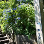【画像】紫陽花と湘南の絶景を堪能！　江の島中津宮の水琴窟で美しい音色の涼に包まれる 〜 画像1